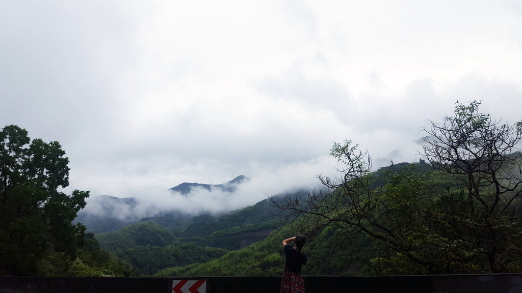 Zhenghe, Fujian Part I: China's Mystical White Tea Mountains