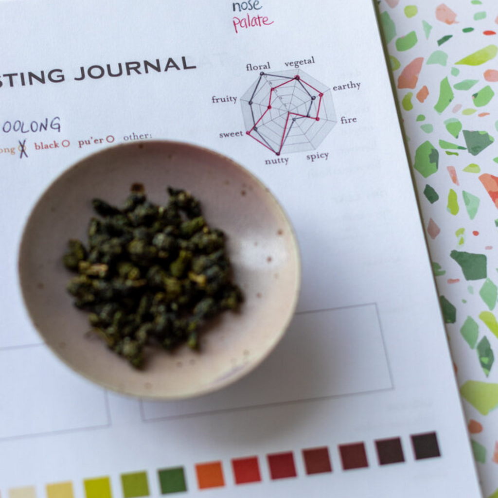Anna's Explorations with our Tasting Journal