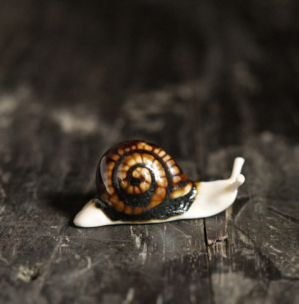 Happy October: Snail Tea Pet Giveaway for the First 10 Orders